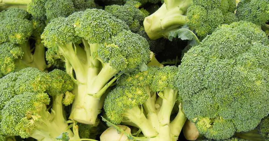 Can you safely eat broccoli raw?