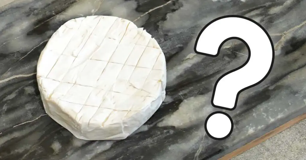 How To Eat Camembert Cheese (Best Ways!) Toast 'n Fry