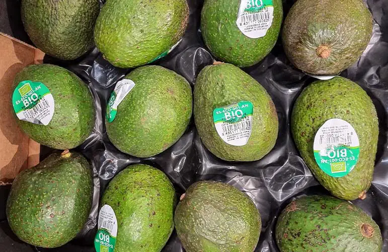 The avocado supply relies on many different factors, one of them being the biennial bearing phenomenon. 