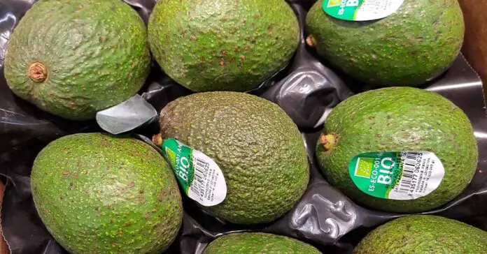 Why are avocados so expensive - quite a few reasons