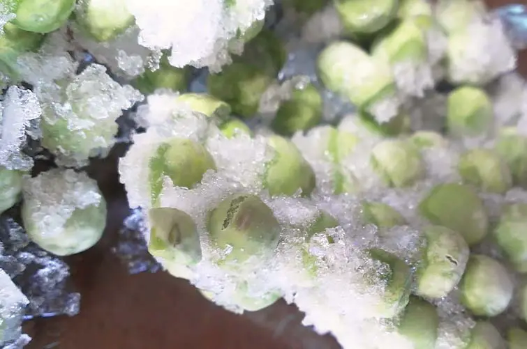 Freezer burnt food essentially dries out - all the water that escapes from the food product via sublimation gathers on its surface in the form of ice crystals.