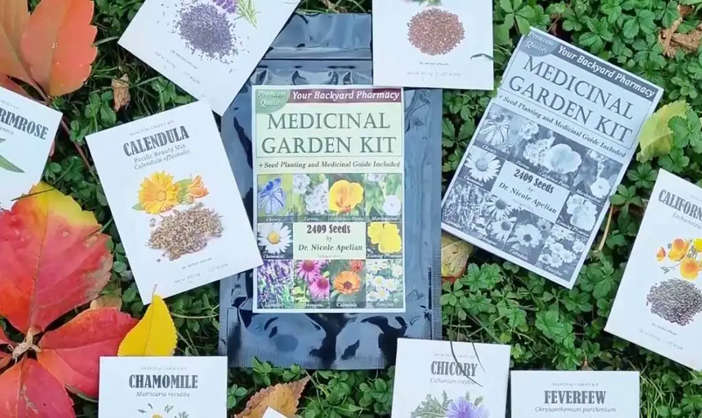 How To Start a Medicinal Herb Garden – A Quick Guide - Toast 'n Fry