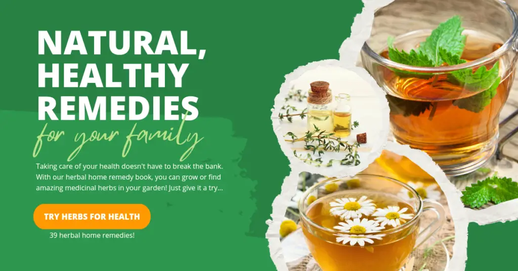 Check out the "Herbs for Health" guidebook here!