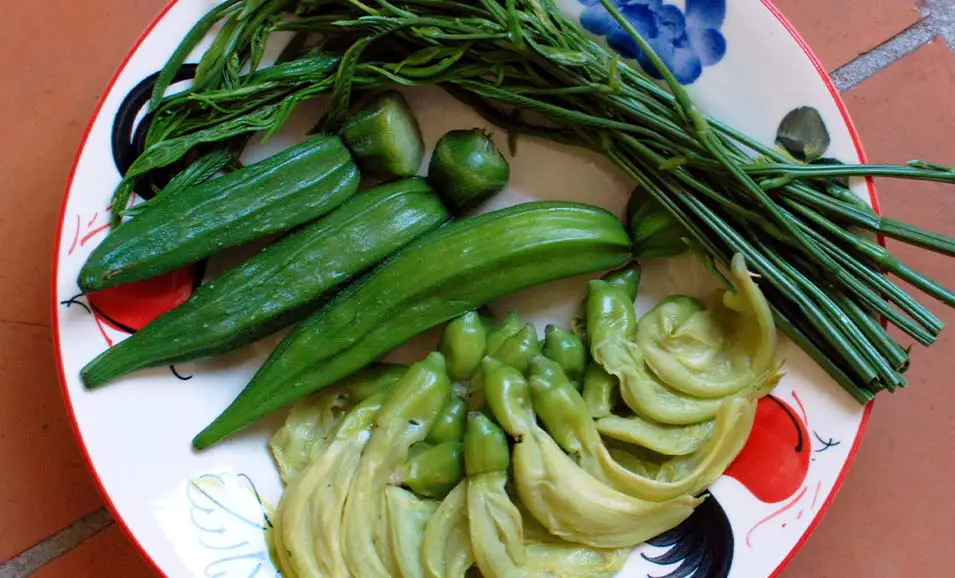If you haven't tried steamed vegetables yet, you really should!